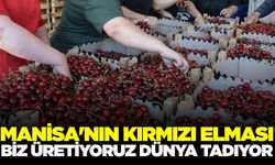 Salihli'nin Napolyon Kirazı'na 45 kere maşallah vurgusu!