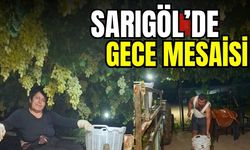 Sarıgöl'de üzüm için yoğun mesai