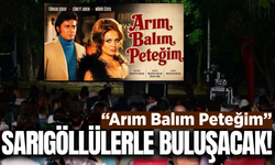 Sarıgöl'de Açık Hava Sinema Keyfi!