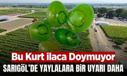 Sarıgöl'de bağcılara 3. nesil uyarısı yapıldı!