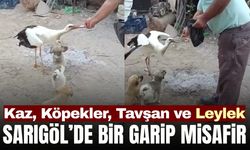Sarıgöl’de Göçü Kaçıran Leylek, Koca Ailesinin Misafiri Oldu