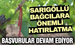 Sarıgöl'de üzüm üreticilerine duyuru: Destekleme başvuruları sürüyor
