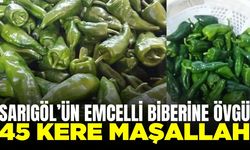 İl Müdürlüğünden Sarıgöl’ün coğrafi işaretli biberine övgü!