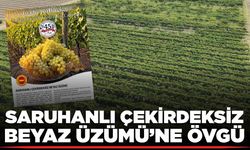 İl Müdürlüğünden Saruhanlı Çekirdeksiz Beyaz Üzümü’ne övgü