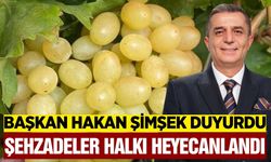Şehzadeler’de Bağ Bozumu Şenliği heyecanı