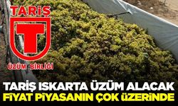 TARİŞ ıskarta üzüm alımına başlayacağı tarihi duyurdu