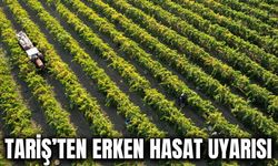 Tariş’ten üzüm üreticilerine hasat uyarısı: 10-15 günlük gecikme bekleniyor