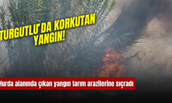 Turgutlu’da korkutan yangın! Alevler tarım arazilerine sıçradı