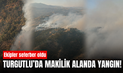 Turgutlu'da makilik alanda yangın
