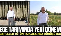 Ege'de girdi fiyatları vurdu, çiftçi ürün değiştirdi