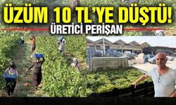 Üzüm bağda 10 TL: Üreticiler fiyat farkına tepki gösterdi