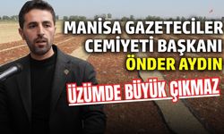 Manisa üzümünde büyük çıkmaz