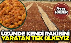 Üzümde Kendi Rakibini Yaratan Tek Ülkeyiz!