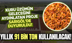 Sarıgöl'de Dev Proje: Kuru Üzüm ve Çiftçinin Kaderi Değişebilir!