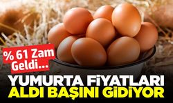 Yumurtada zam dalgası! Fiyatlar hızla yükseldi