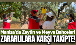 Manisa'da zeytin ve meyve bahçelerinde sıkı kontrol!