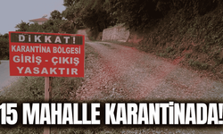 Mavi dil hastalığı alarmı: 15 mahalle karantinada!
