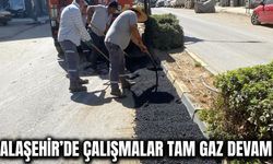 Alaşehir'de ekipler sahada: Çalışmalar aralıksız sürüyor!