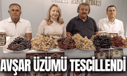 Avşar üzümü artık tescilli: Ulusal Festival için geri sayım!