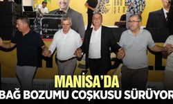Manisa'da bağ bozumu coşkusu: Konserle unutulmaz gece
