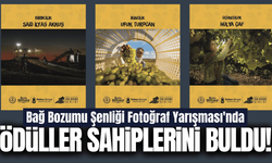 Bağ Bozumu Şenliği Fotoğraf Yarışması'nda ödüller sahiplerini buldu