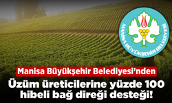 Manisa Büyükşehir Belediyesi’nden üzüm üreticilerine yüzde 100 hibeli destek