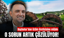 Baybatur açıkladı! Manisa’da üzüm üreticilerini sevindiren gelişme