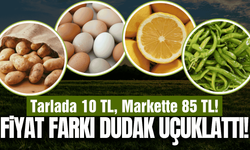Bu fiyat farkı pes dedirtti: Tarladan sofraya fiyat uçurumu!