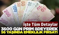 Bu sistem ile 10 yıl prim ödeyerek 56 yaşında emeklilik mümkün