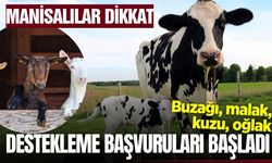 Manisa'da tarım ve hayvancılıkla uğraşanların beklediği haber: Başvurular başladı