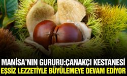 Müdürlükten Manisa'nın lezzet hazinesine övgü!