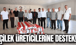 Büyükşehir'den çilek üreticilerine destek!
