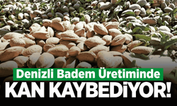 Denizli'de badem üretiminde dikkat çeken düşüş!