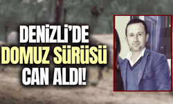 Motosikletiyle domuz sürüsüne çarptı, hayatını kaybetti