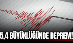 Şanlıurfa'da korkutan deprem: Beşik gibi sallandı!