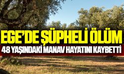 İzmir'de acı olay: Zeytinlik alanda ölü bulundu