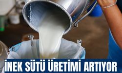 Süt üretiminde artış devam ediyor