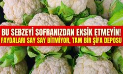 Mevsimi başladı: Faydaları saymakla bitmiyor