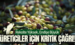 Kırkağaç Ziraat Odası'ndan zeytin üreticisi için kritik çağrı!