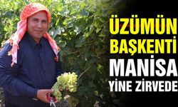 Üzümün lideri Manisa'dan gururlandıran tablo