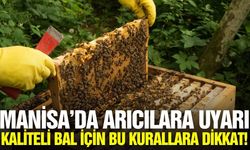 Manisa'da arıcılara kritik uyarı!