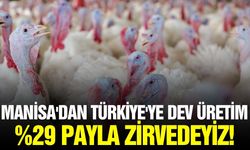 Manisa'nın üretimi: Etlik hindisinde "45 Kere Maşallah" gururu