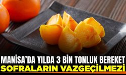 Manisa'nın bereketi: Yıllık 3 bin ton üretim