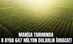 Manisa tarım ihracatında 647 milyon dolara ulaştı