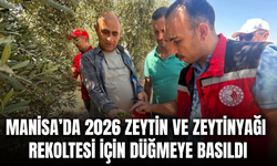 Manisa’da 2026 zeytin rekoltesi için saha çalışmaları başladı