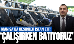Manisa'da besiciler artan maliyetlerden dert yandı!