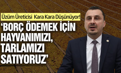 Manisa'da çiftçiler isyan etti: "Artık borçlarımızı ödeyemiyoruz”