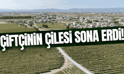 Manisa'da çiftçinin yüzünü güldüren çalışma!