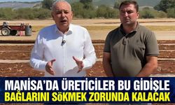 Manisa'da üreticiler dertli! 'Böyle giderse bağlar köklenir'