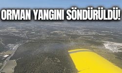 Manisa'daki orman yangını kontrol altına alındı!
